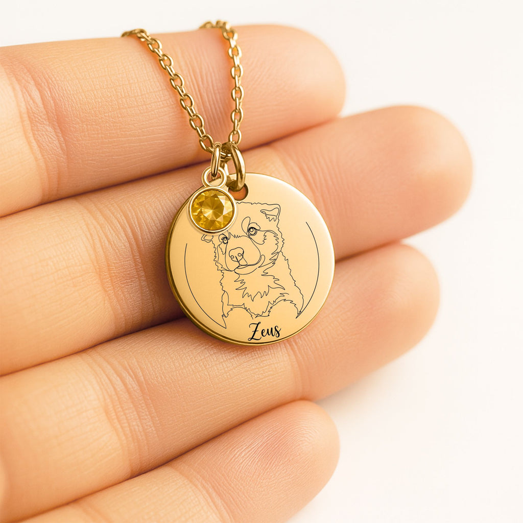 Coin Necklace with Birthstone